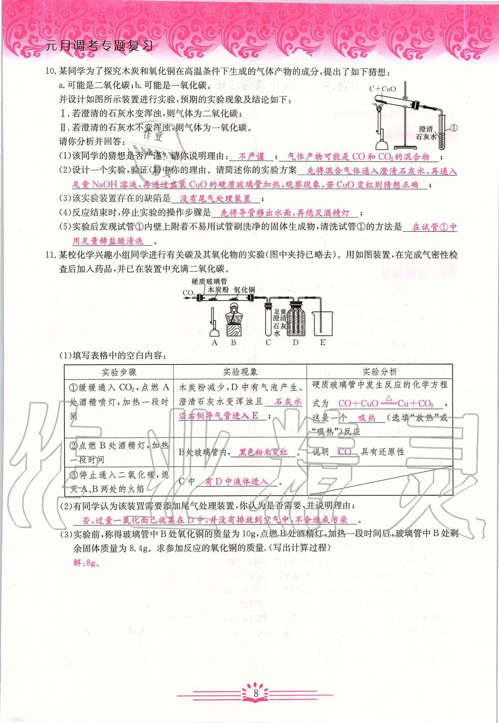 2020年新观察中考化学元调复习专题 第8页