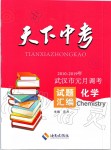 2020年天下中考武漢市元月調(diào)考試題匯編化學(xué)