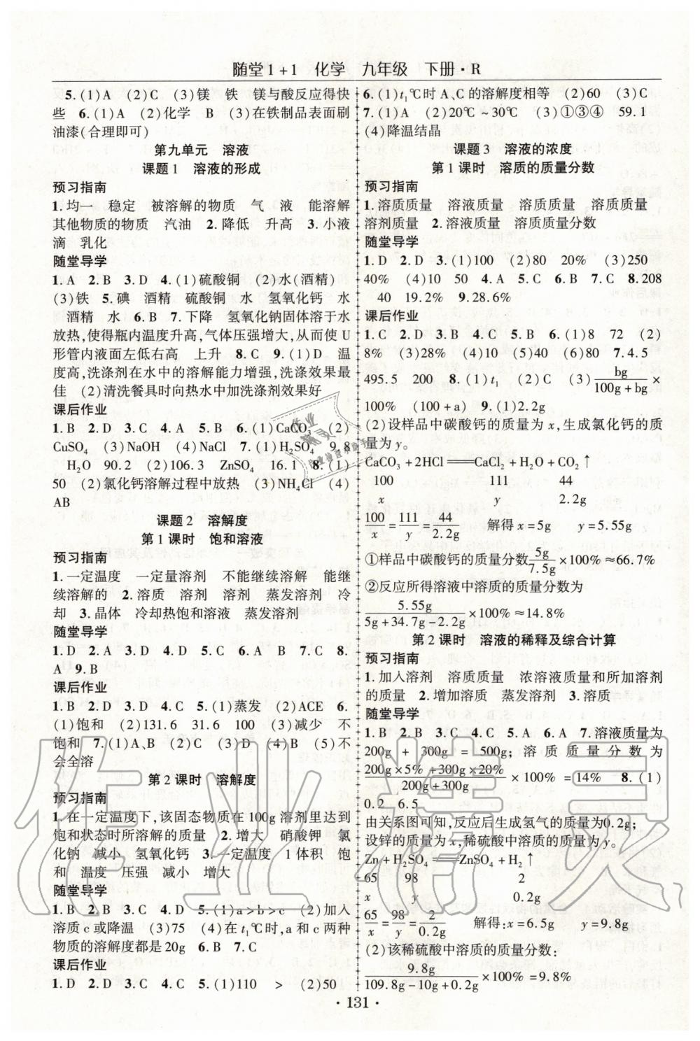 2020年隨堂1加1導(dǎo)練九年級化學(xué)下冊人教版 第3頁