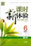 2020年通城學(xué)典課時(shí)新體驗(yàn)六年級(jí)數(shù)學(xué)下冊(cè)人教版