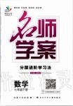 2020年名師學(xué)案七年級(jí)數(shù)學(xué)下冊(cè)人教版