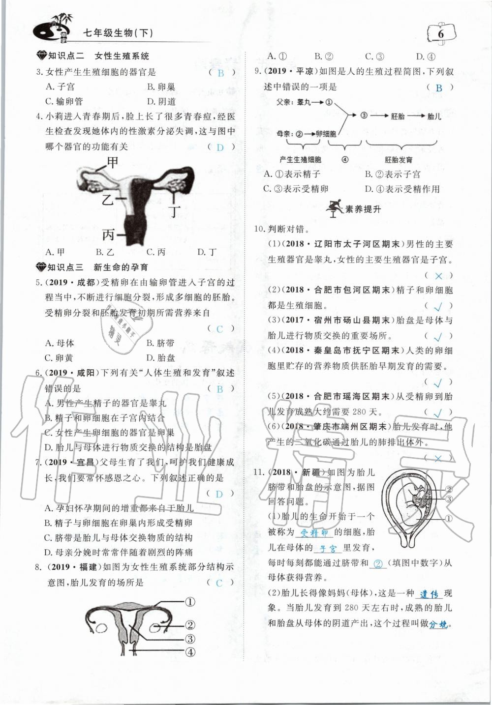 2020年351高效課堂導(dǎo)學(xué)案七年級生物下冊人教版 第6頁