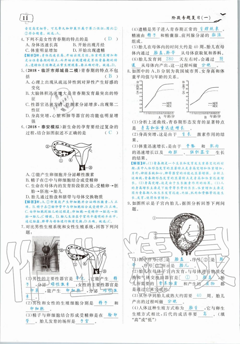 2020年351高效課堂導學案七年級生物下冊人教版 第11頁