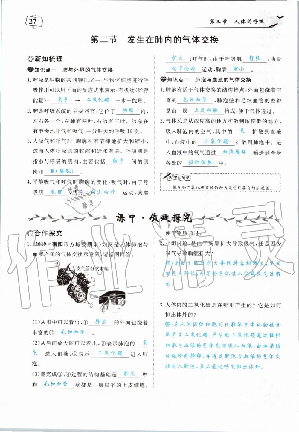 2020年351高效课堂导学案七年级生物下册人教版 第27页