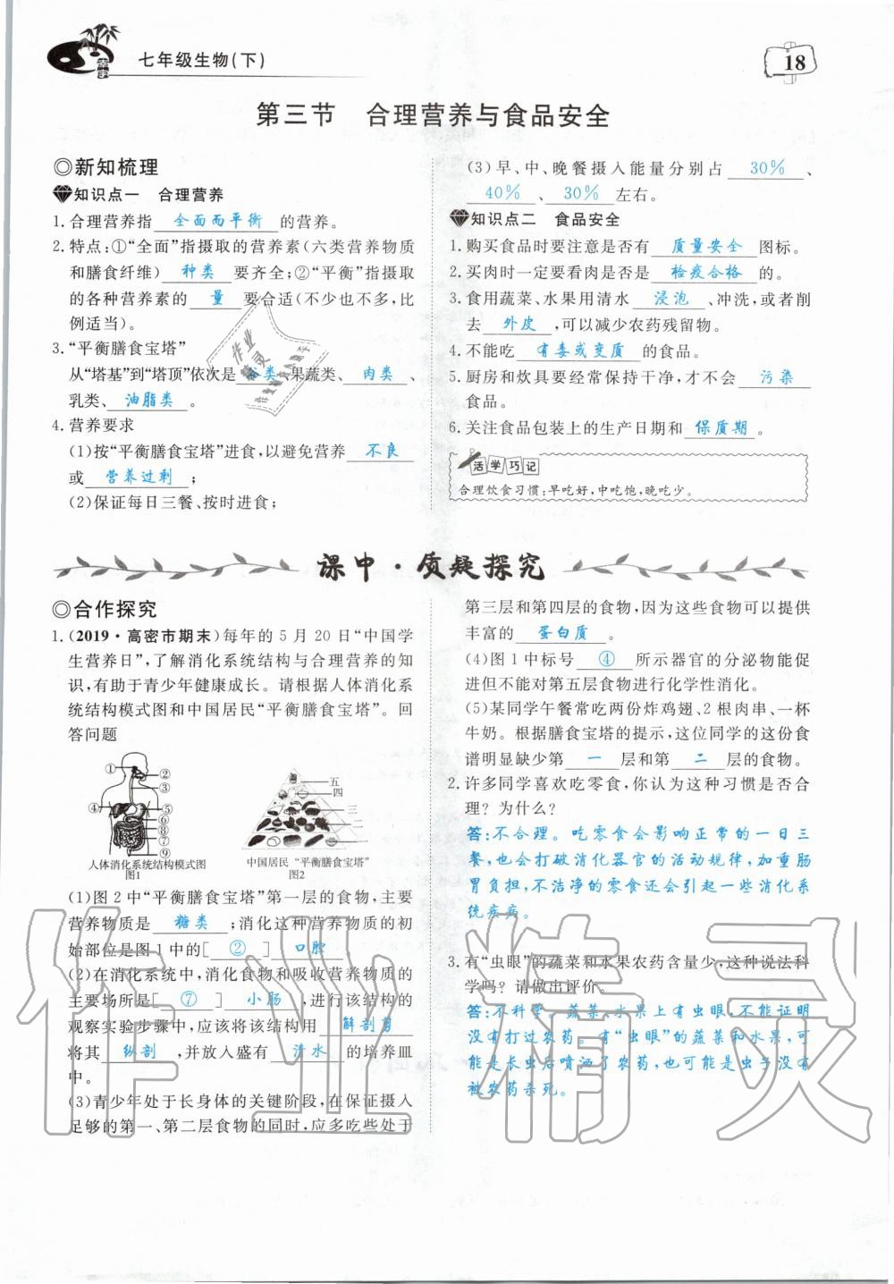 2020年351高效课堂导学案七年级生物下册人教版 第18页