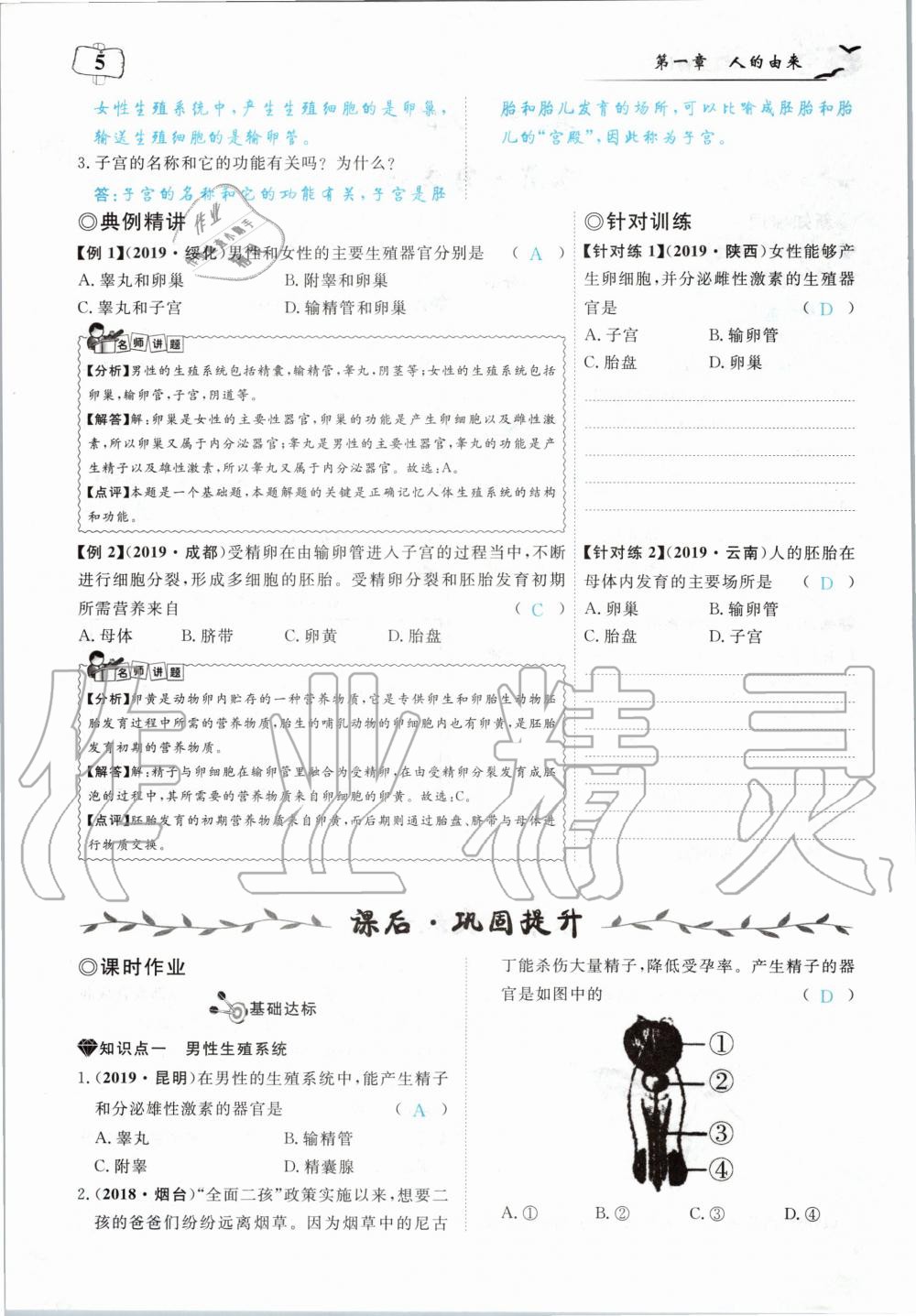 2020年351高效课堂导学案七年级生物下册人教版 第5页