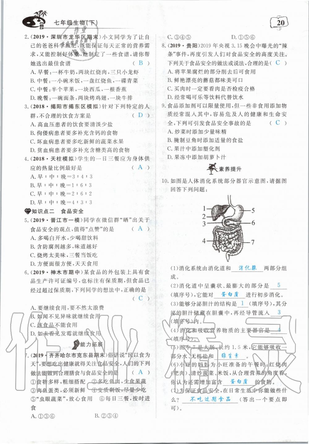 2020年351高效课堂导学案七年级生物下册人教版 第20页