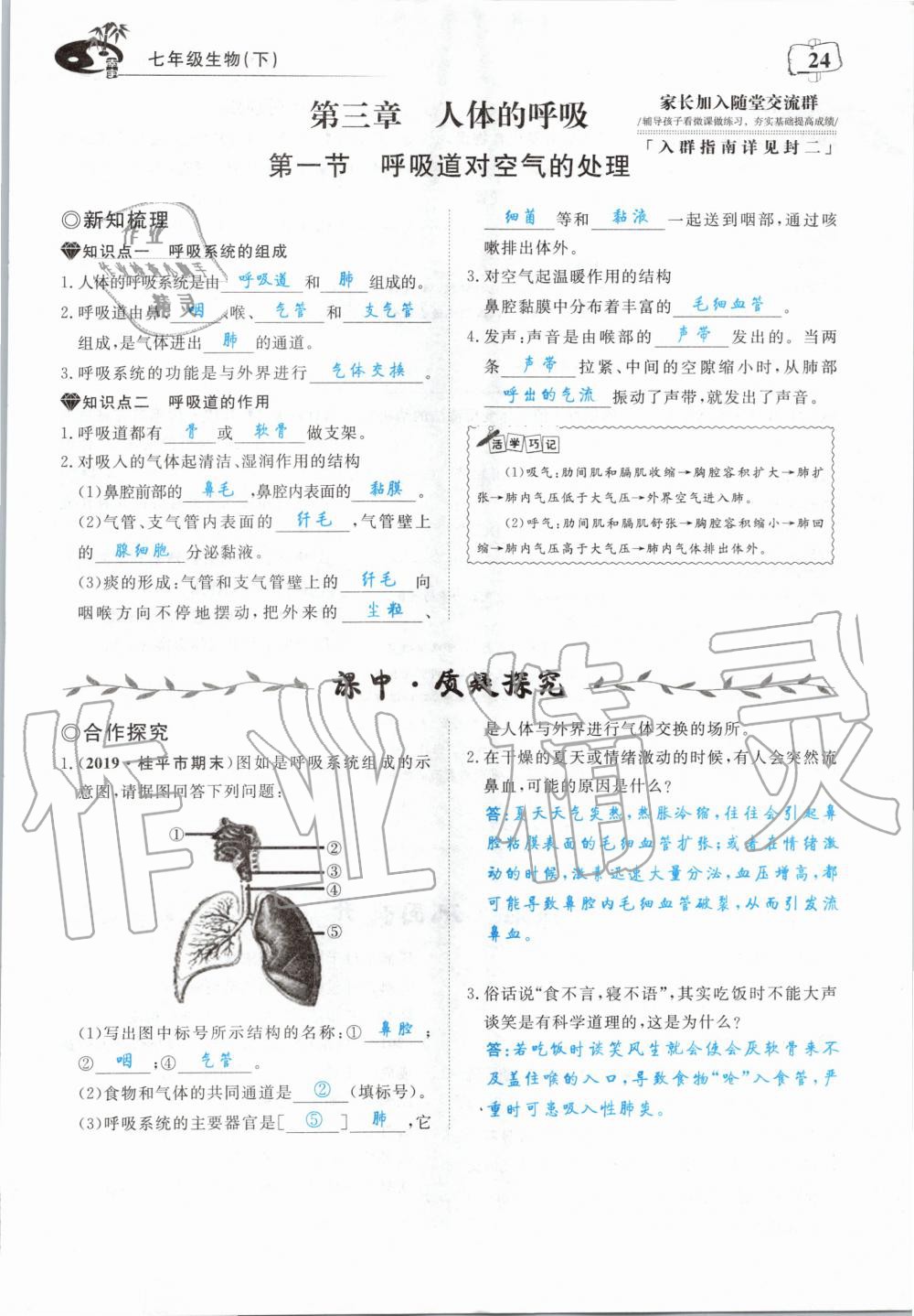 2020年351高效課堂導(dǎo)學案七年級生物下冊人教版 第24頁