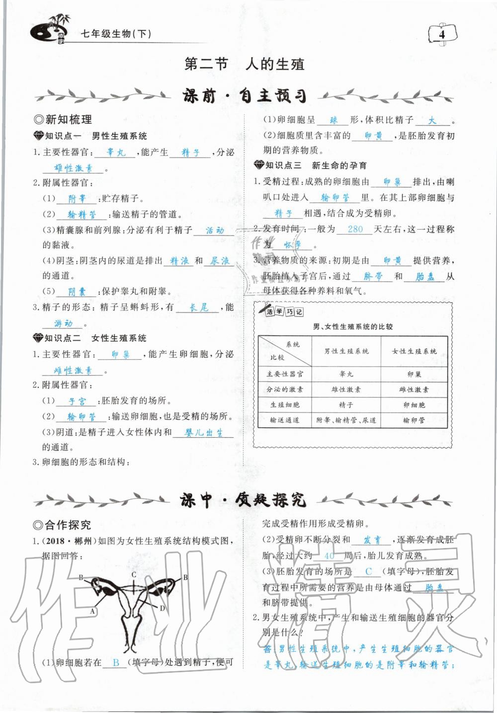 2020年351高效課堂導(dǎo)學(xué)案七年級生物下冊人教版 第4頁