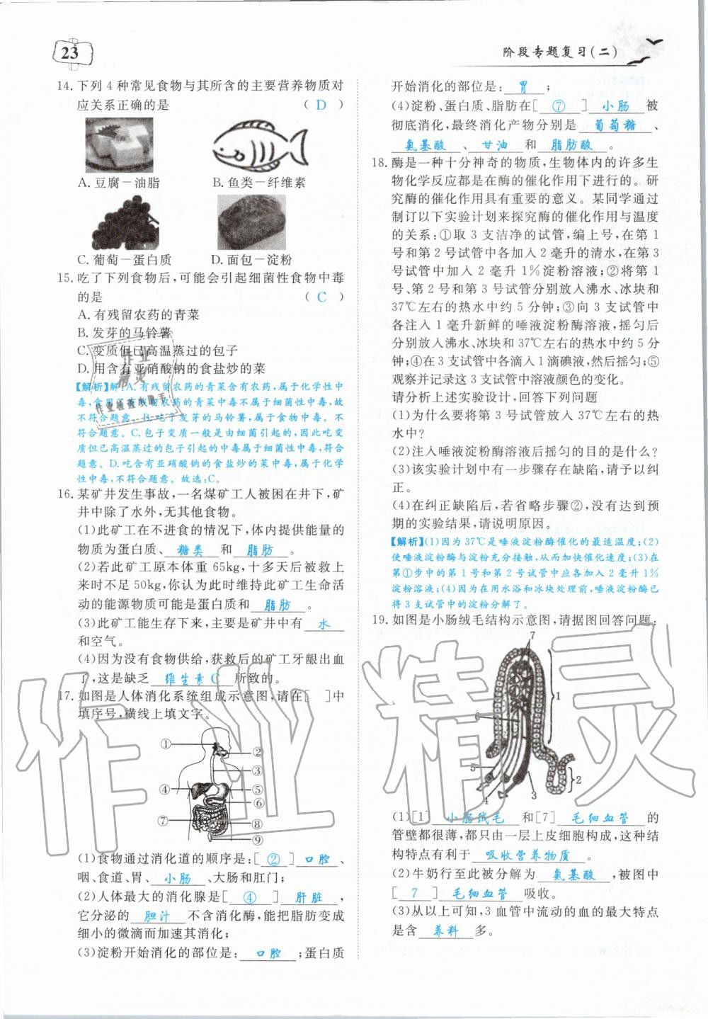 2020年351高效课堂导学案七年级生物下册人教版 第23页