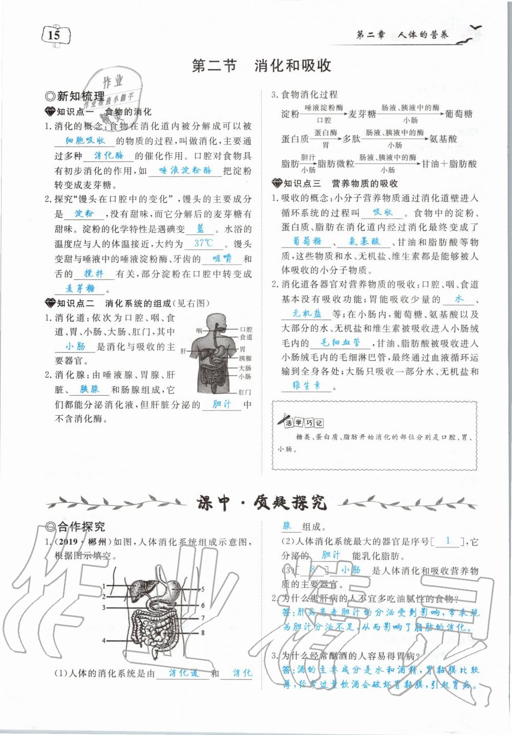 2020年351高效课堂导学案七年级生物下册人教版 第15页