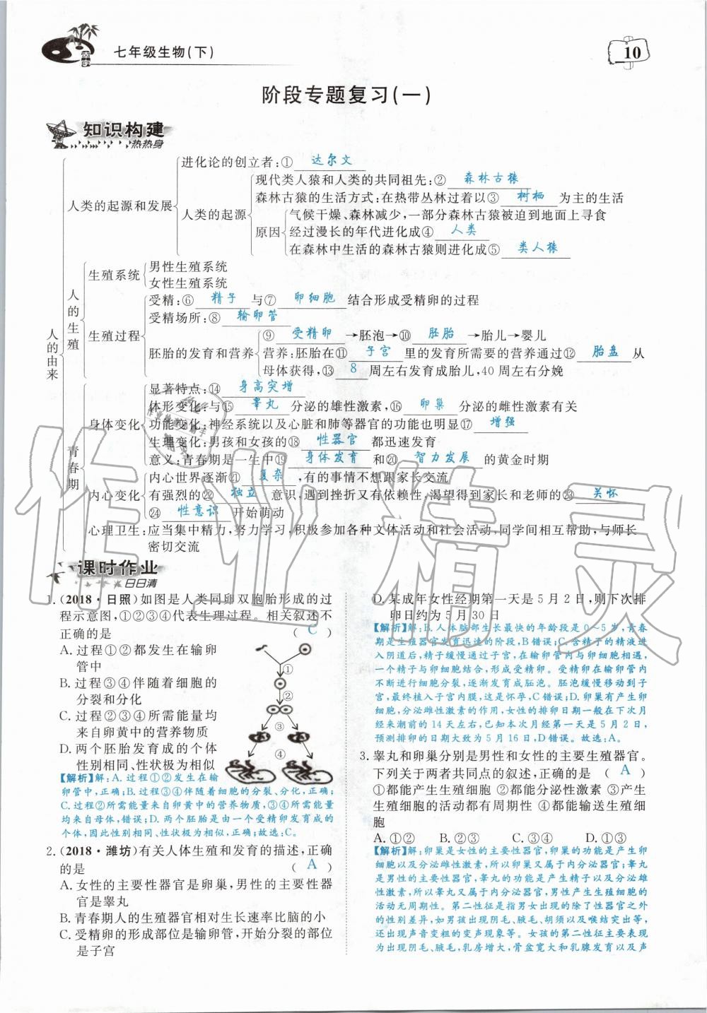 2020年351高效課堂導(dǎo)學(xué)案七年級(jí)生物下冊(cè)人教版 第10頁(yè)