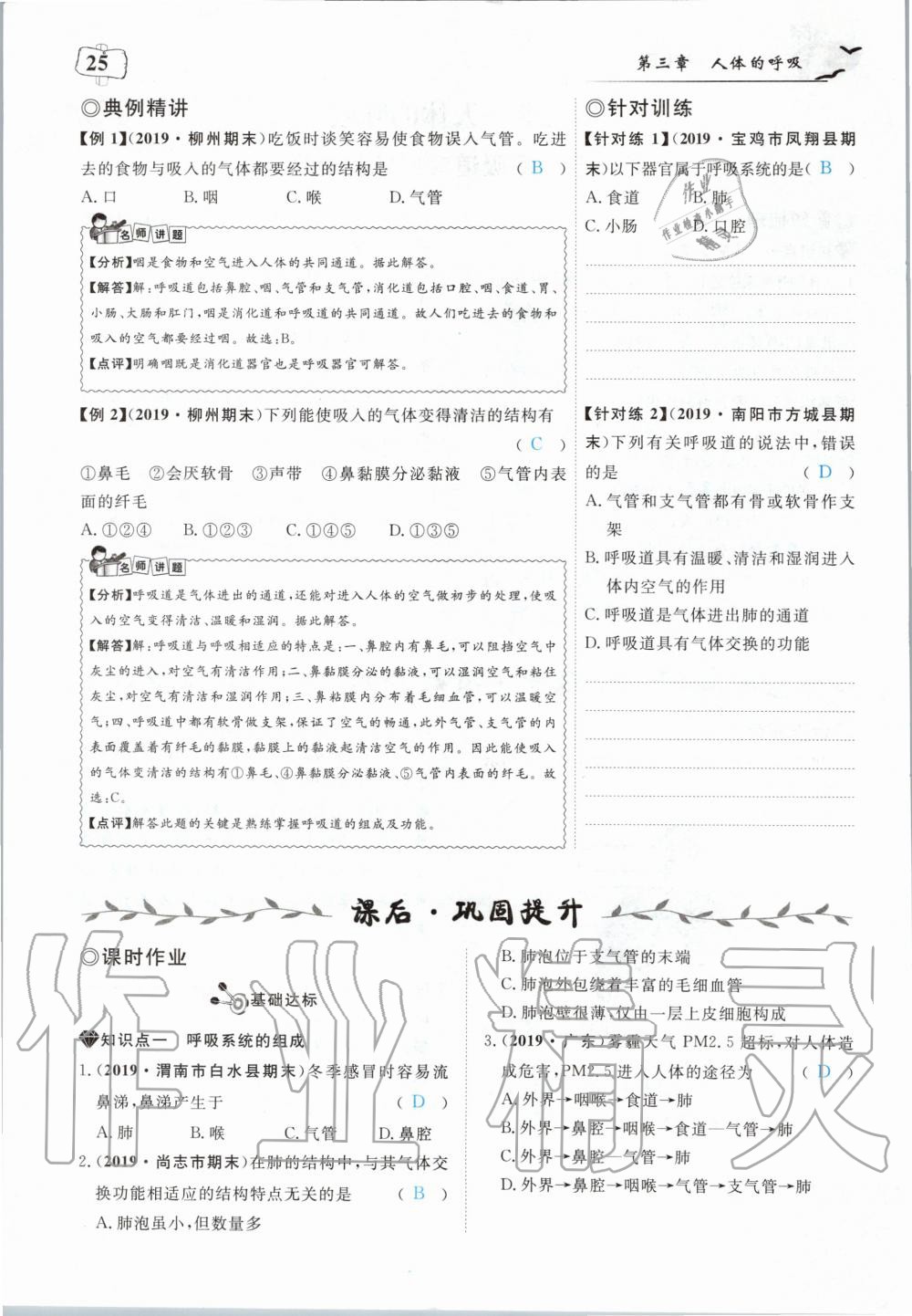 2020年351高效課堂導(dǎo)學(xué)案七年級生物下冊人教版 第25頁