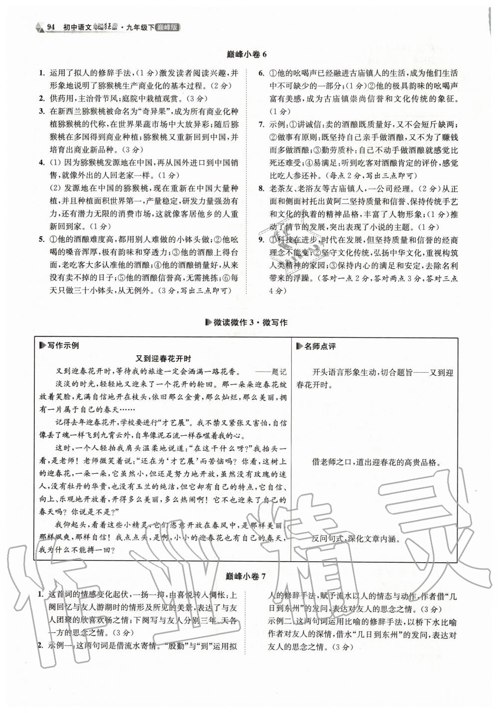 2020年初中语文小题狂做九年级下册人教版巅峰版 第4页