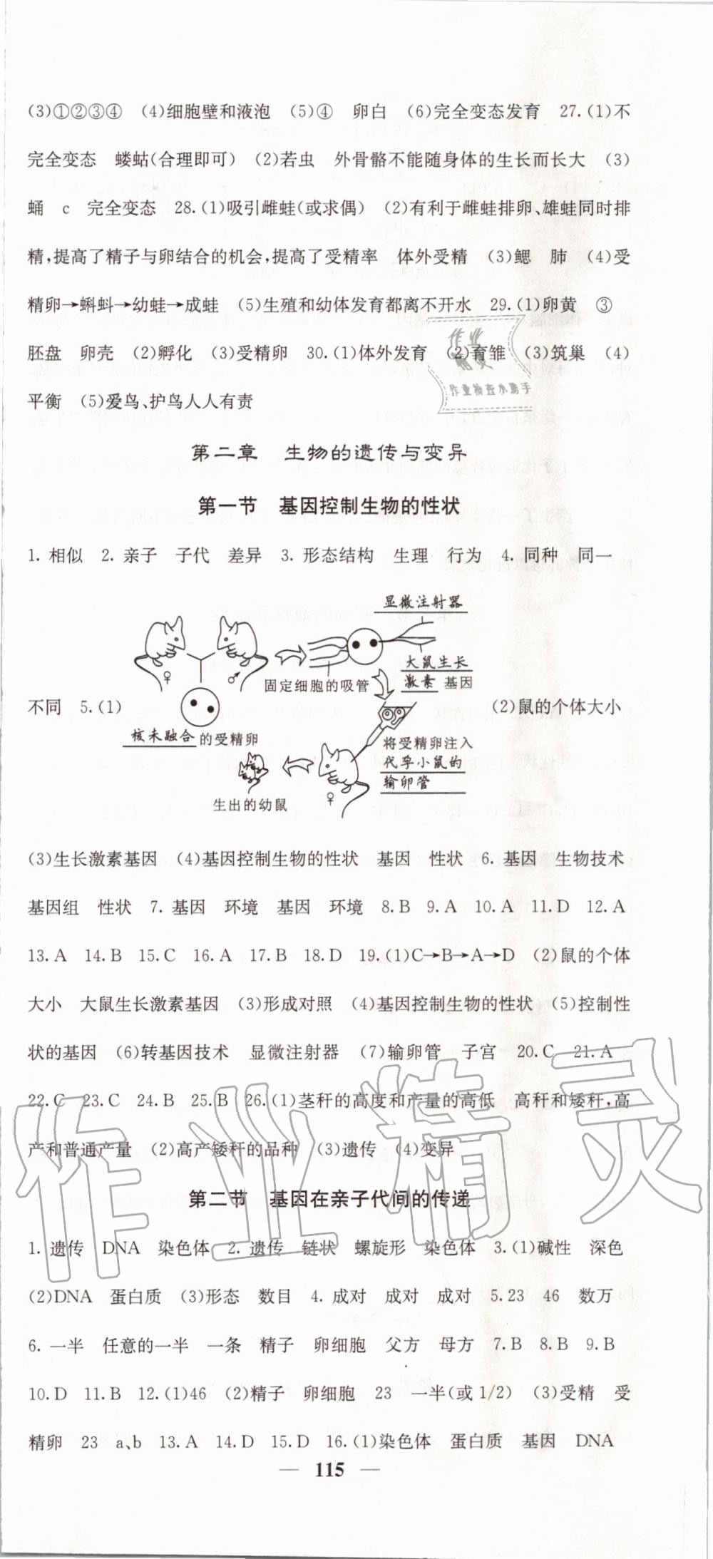 2020年名校课堂内外八年级生物下册人教版 第3页