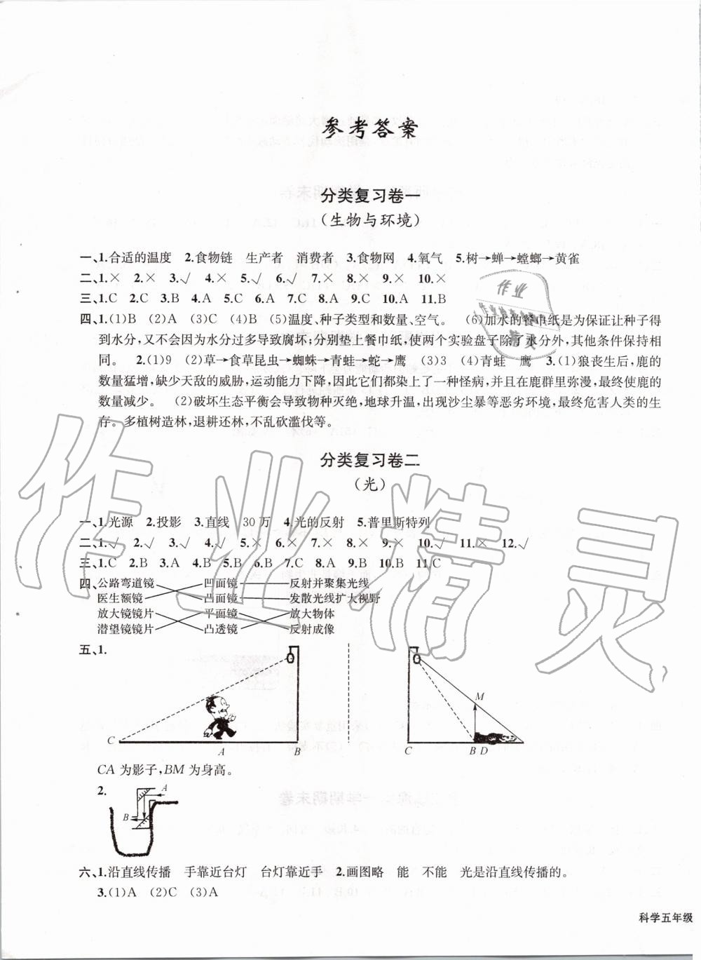 2019年浙江各地期末迎考卷五年級科學上冊教科版 第1頁