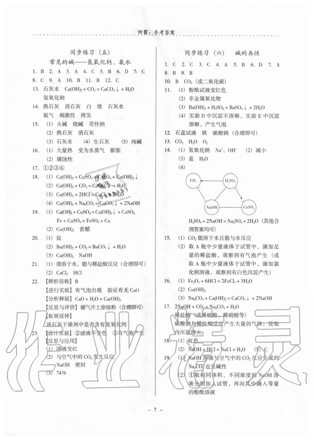 2020年启文引路九年级化学下学期沪教版 第7页