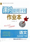 2020年課時提優(yōu)計劃作業(yè)本九年級語文下冊人教版