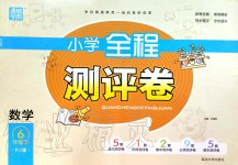 2020年通城學(xué)典小學(xué)全程測評卷六年級數(shù)學(xué)下冊人教版