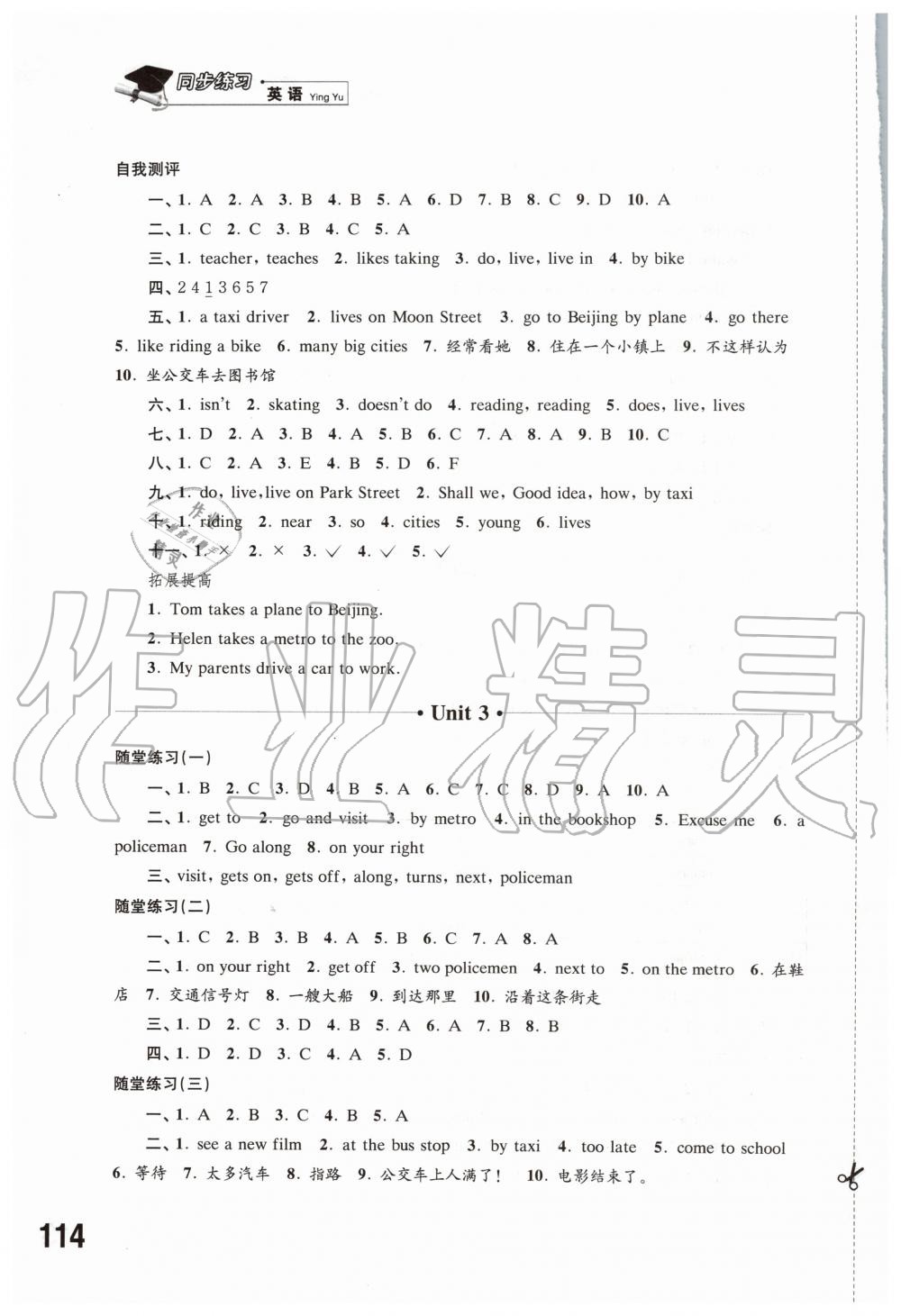 2020年同步练习五年级英语下册译林版江苏凤凰科学技术出版社 第3页