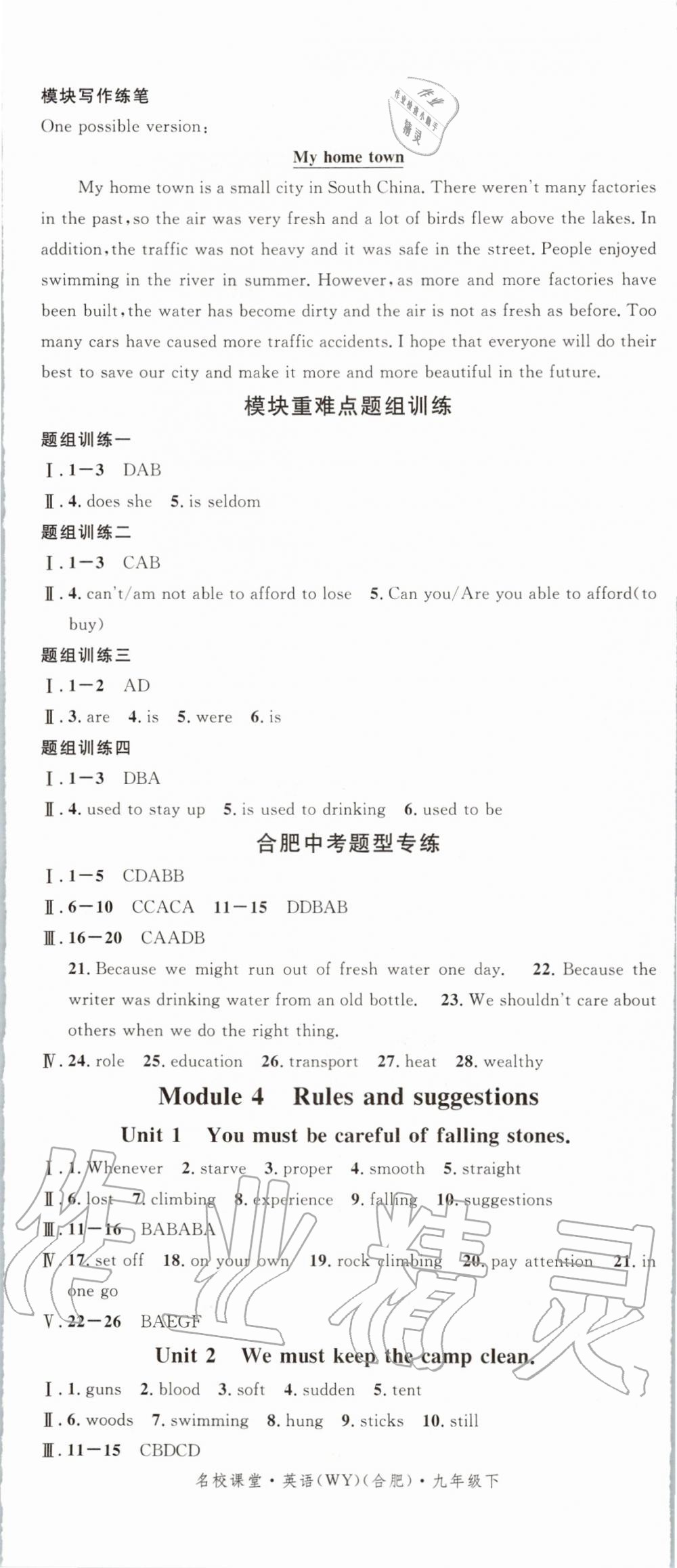 2020年名校課堂九年級英語下冊外研版合肥專版 第5頁