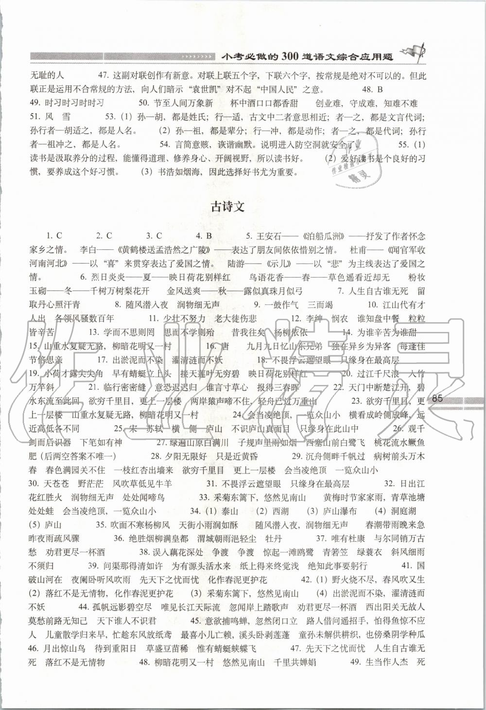 2020年小考必做的300道语文综合应用题 第2页