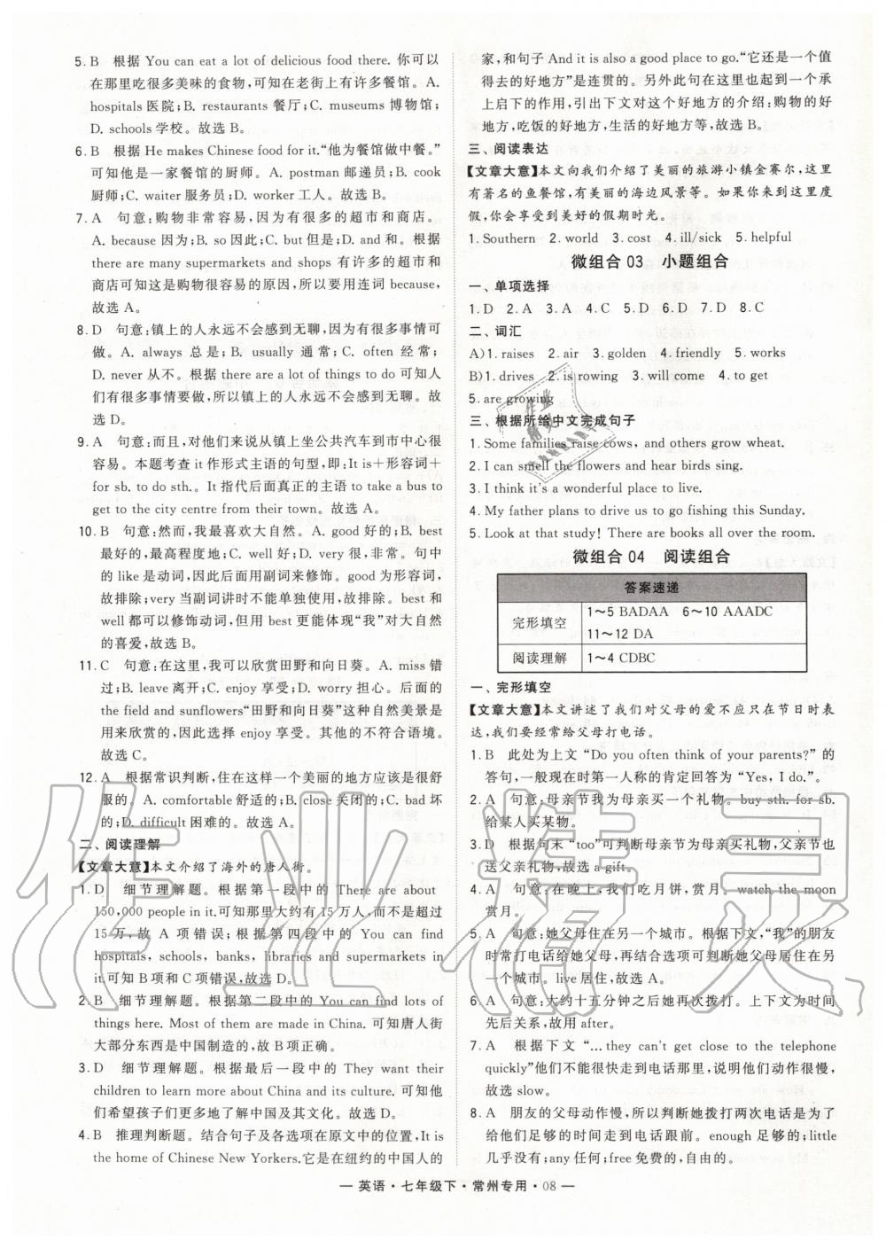 2020年經(jīng)綸學典學霸組合訓練七年級英語下冊譯林版常州專版 第8頁