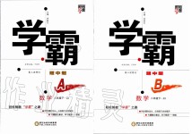 2020年經(jīng)綸學典學霸題中題八年級數(shù)學下冊浙教版