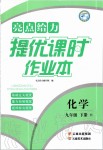 2020年亮點(diǎn)給力提優(yōu)課時(shí)作業(yè)本九年級(jí)化學(xué)下冊(cè)滬教版