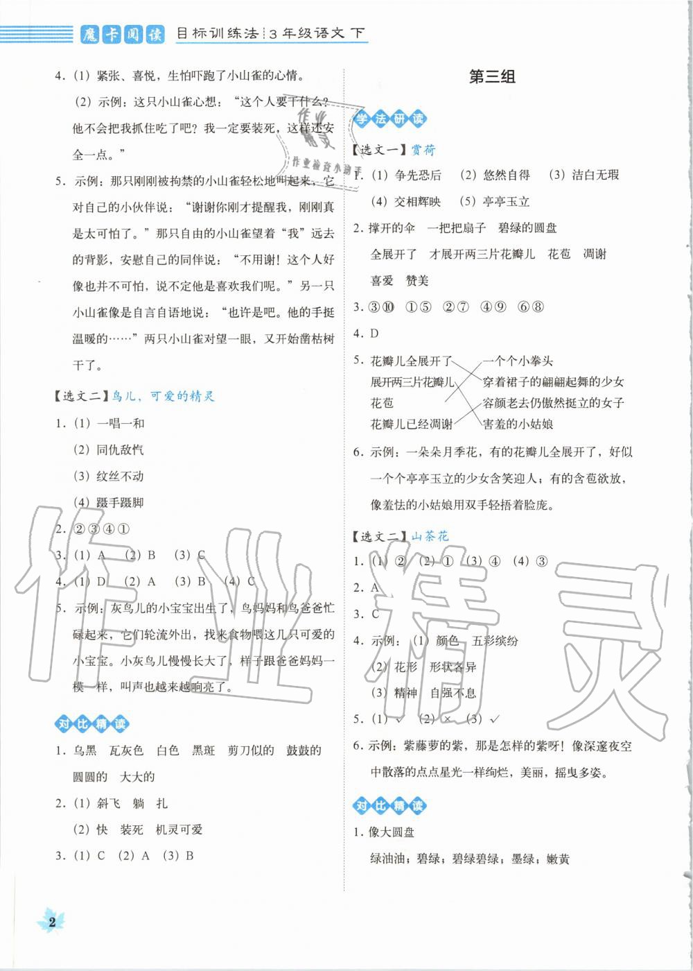 2020年魔卡閱讀目標(biāo)訓(xùn)練法三年級(jí)語(yǔ)文下冊(cè)人教版 第2頁(yè)