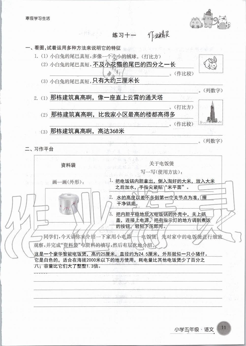 2020年寒假學習生活五年級譯林版譯林出版社 第11頁