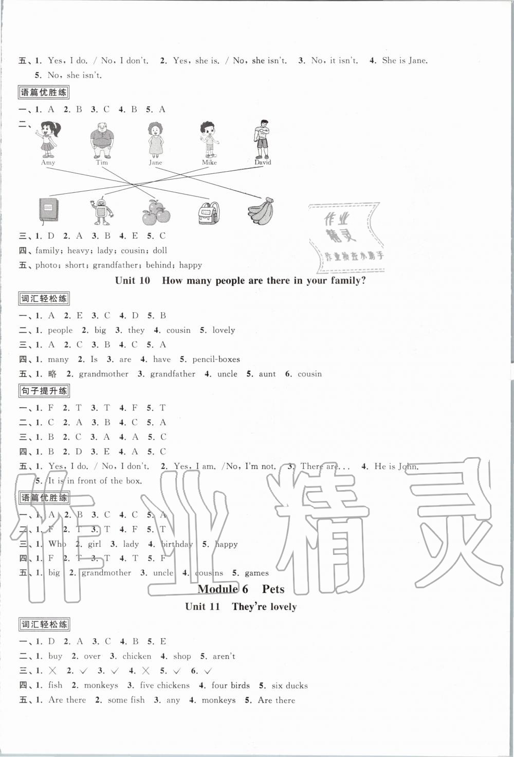 2020年陽光同學(xué)課時優(yōu)化作業(yè)三年級英語下冊教育科學(xué)版 第6頁