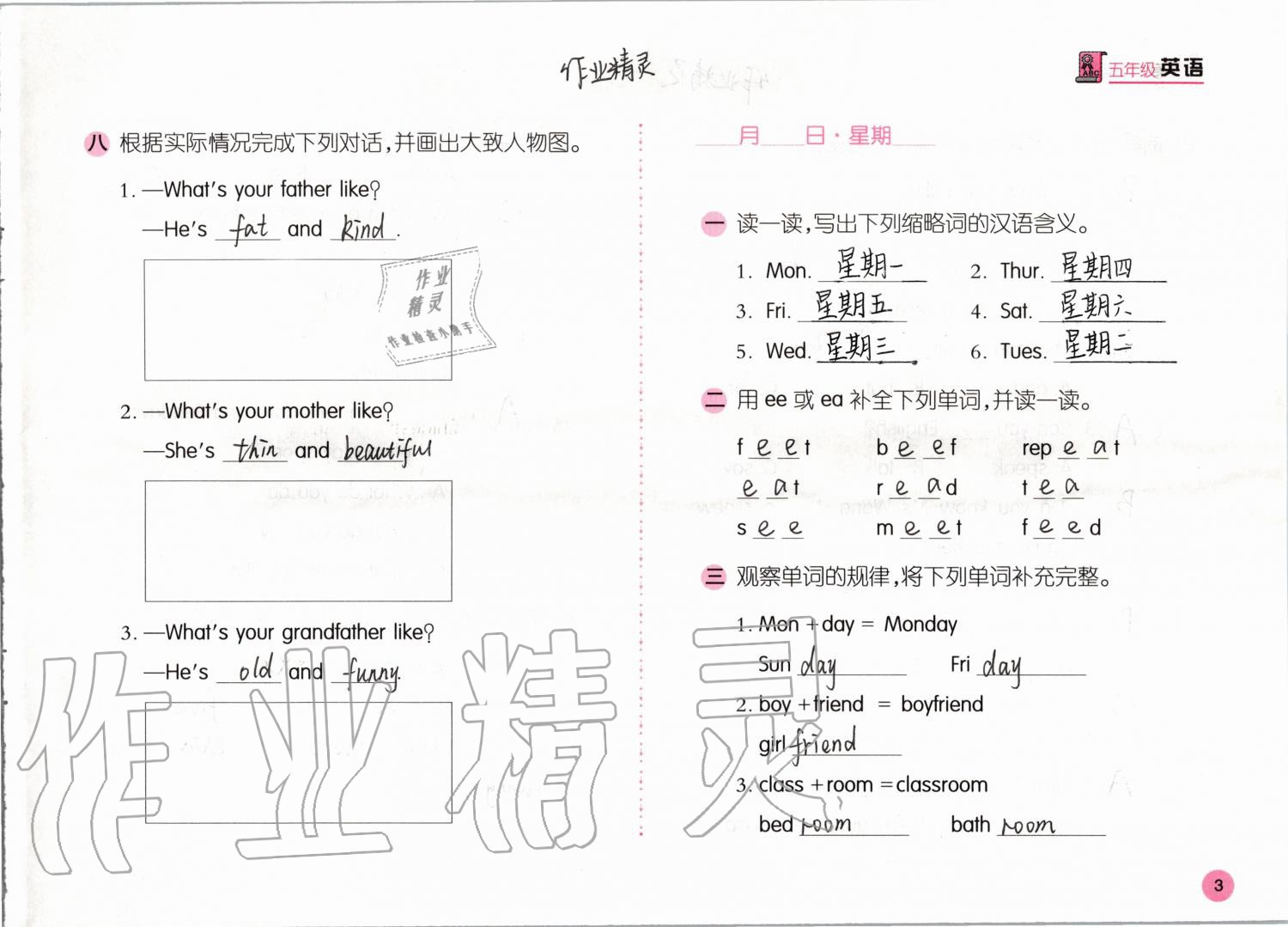 2020年寒假作業(yè)五年級英語人教版安徽少年兒童出版社 第3頁