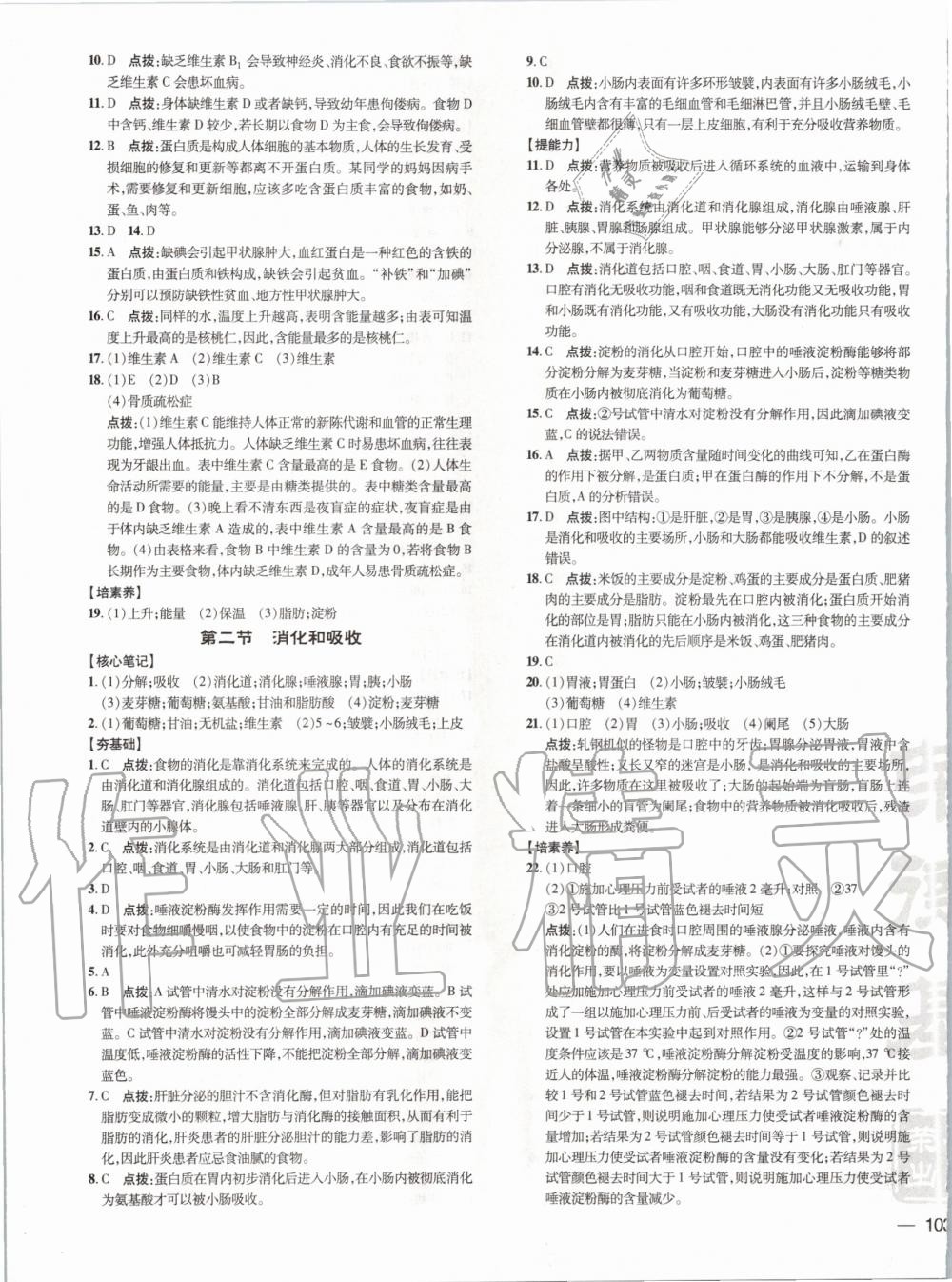 2020年點(diǎn)撥訓(xùn)練七年級生物下冊人教版 第3頁