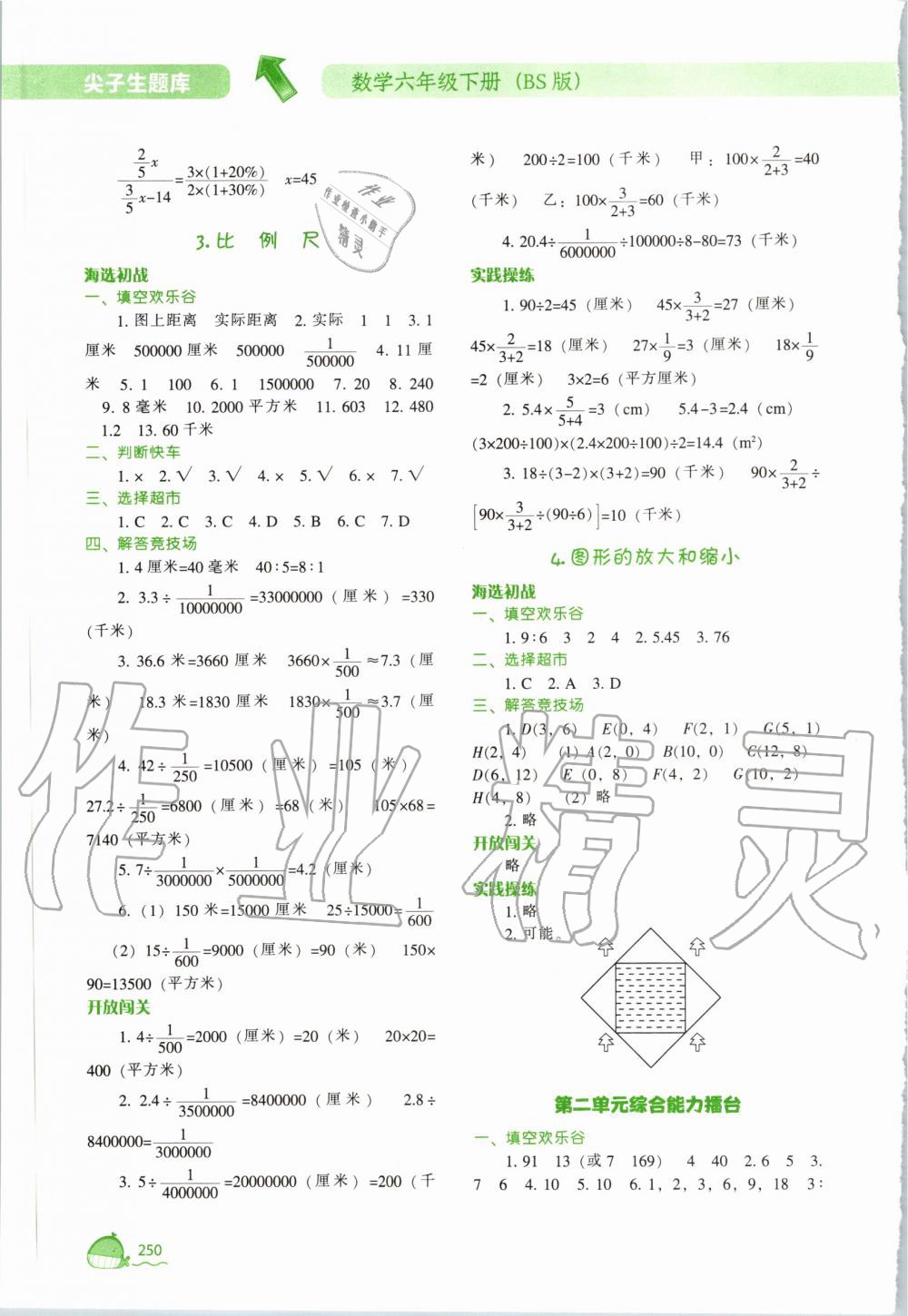 2020年尖子生題庫(kù)六年級(jí)數(shù)學(xué)下冊(cè)北師大版 第6頁(yè)