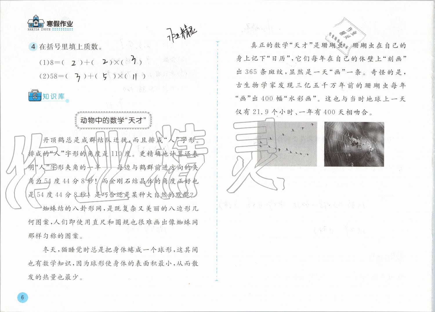 2020年寒假作业五年级数学北师大版安徽少年儿童出版社 第6页