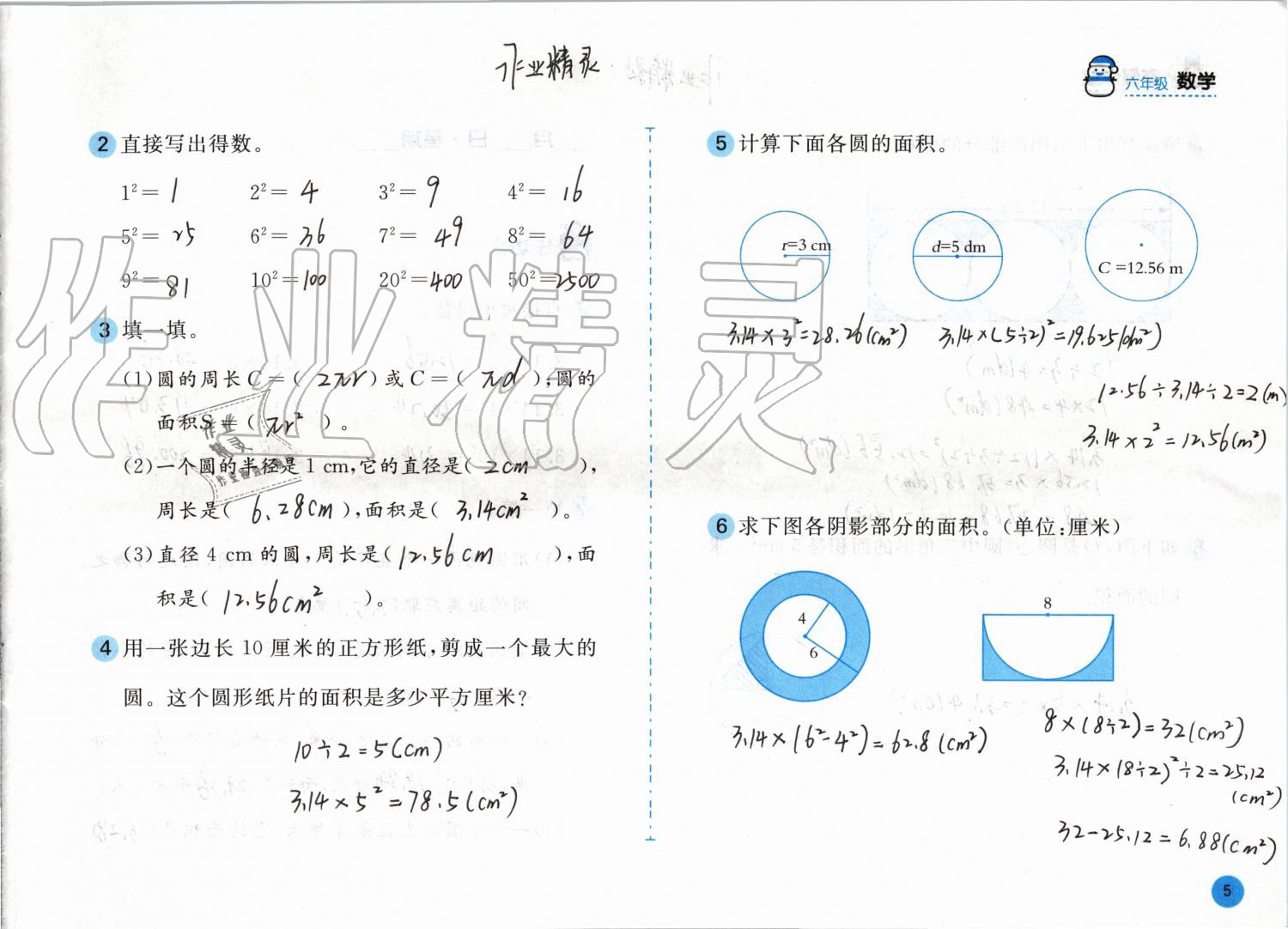 2020年寒假作业六年级数学北师大版安徽少年儿童出版社 第5页