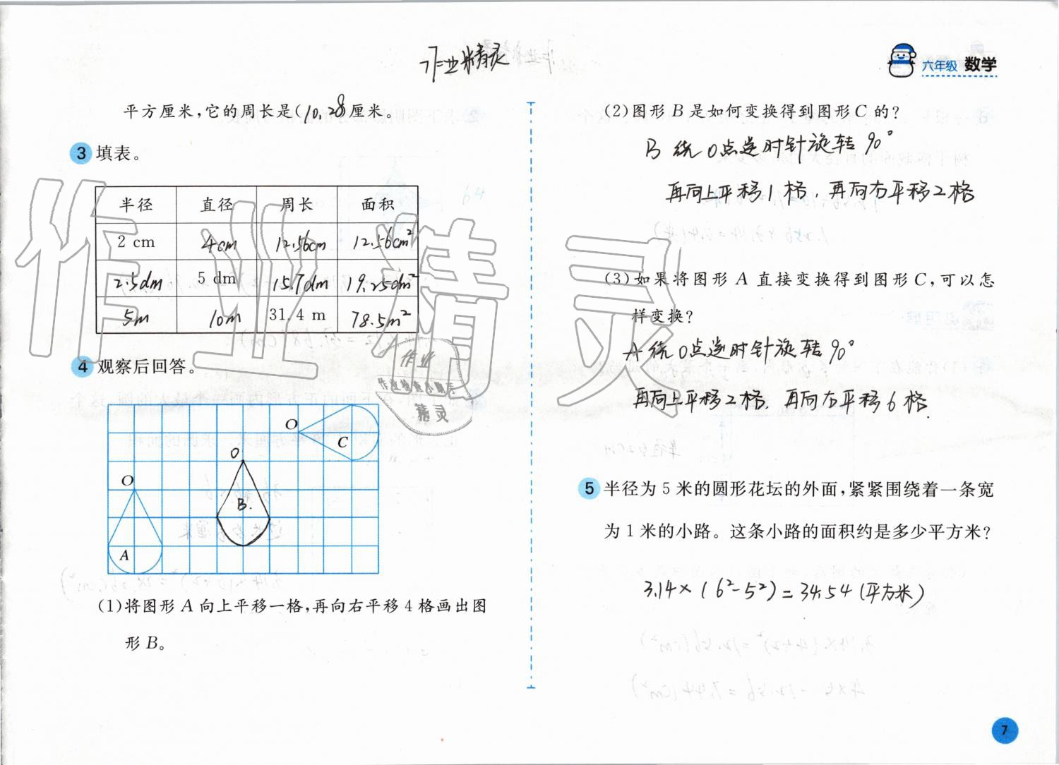 2020年寒假作业六年级数学北师大版安徽少年儿童出版社 第7页