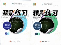 2020年精彩練習(xí)就練這一本八年級(jí)數(shù)學(xué)下冊(cè)浙教版