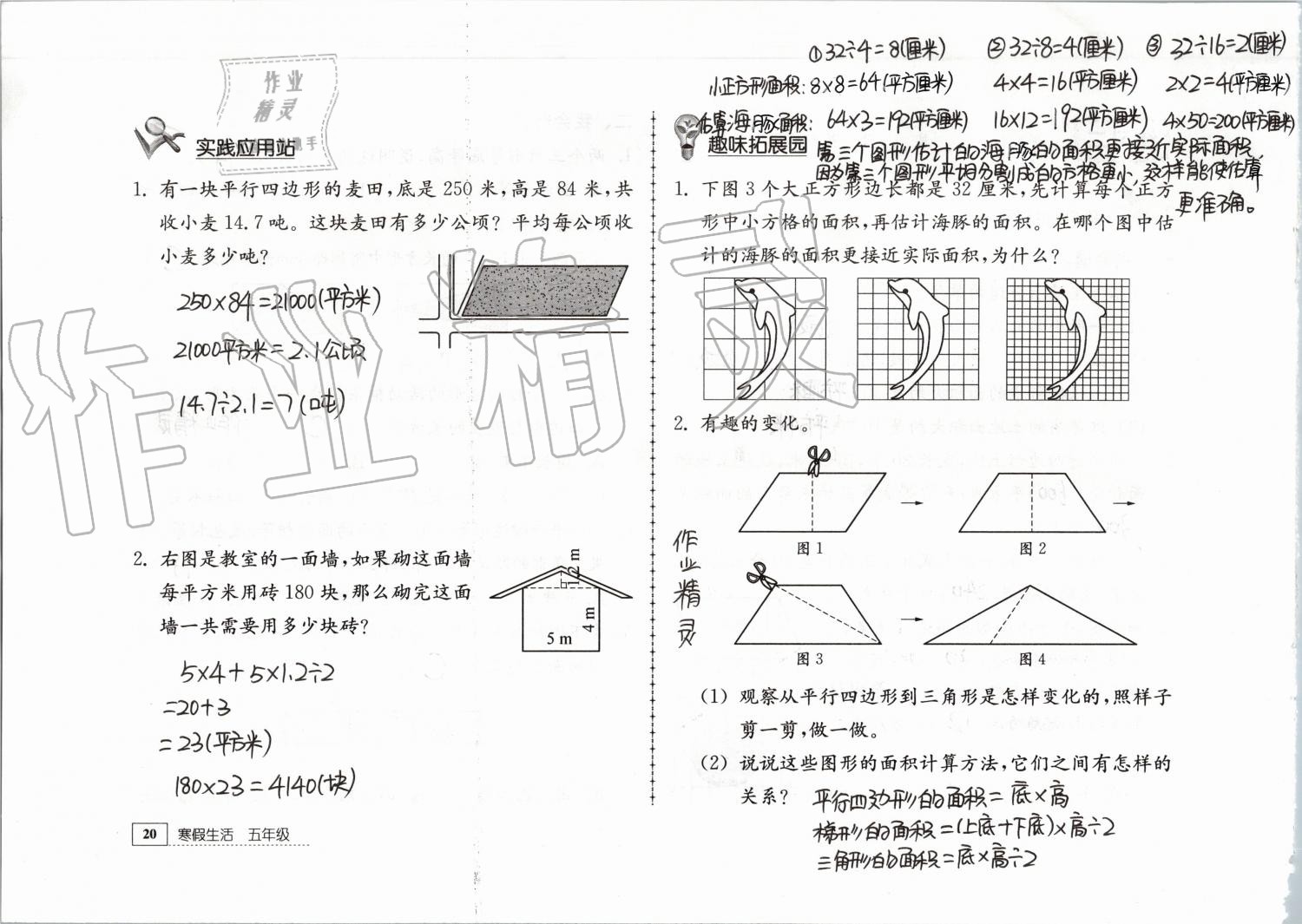 2020年寒假生活五年級教育科學(xué)出版社 第8頁