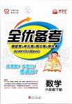 2020年全優(yōu)備考六年級數(shù)學下冊人教版