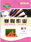 2020年長(zhǎng)江作業(yè)本寒假作業(yè)八年級(jí)數(shù)學(xué)人教版湖北教育出版社