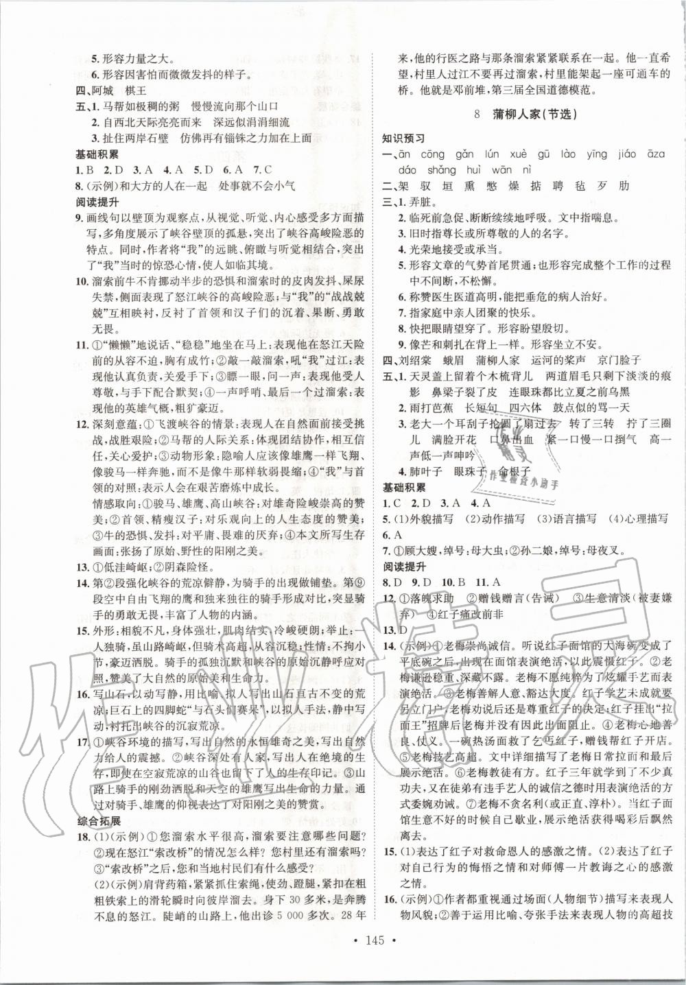 2020年思路教练同步课时作业九年级语文下册人教版 第5页