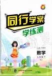 2020年同行學案七年級數(shù)學下冊人教版