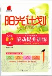 2019年陽光計(jì)劃九年級化學(xué)全一冊魯教版六三制