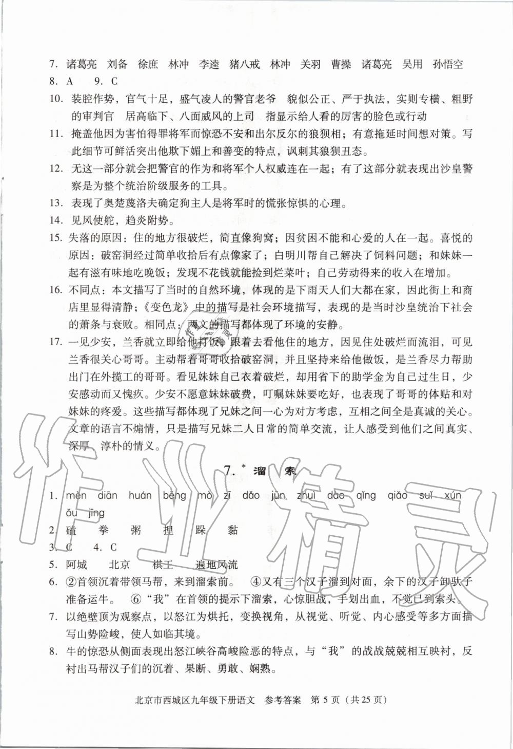 2020年學(xué)習(xí)探究診斷九年級(jí)語(yǔ)文下冊(cè)人教版 第5頁(yè)