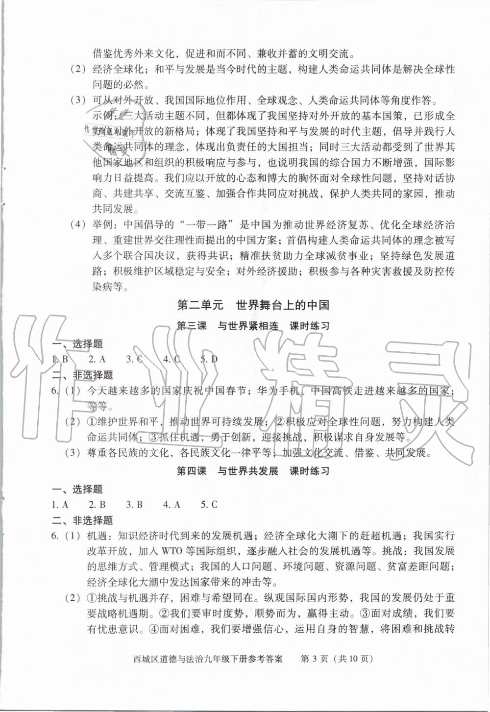 2020年學(xué)習(xí)探究診斷九年級道德與法治下冊人教版 第3頁