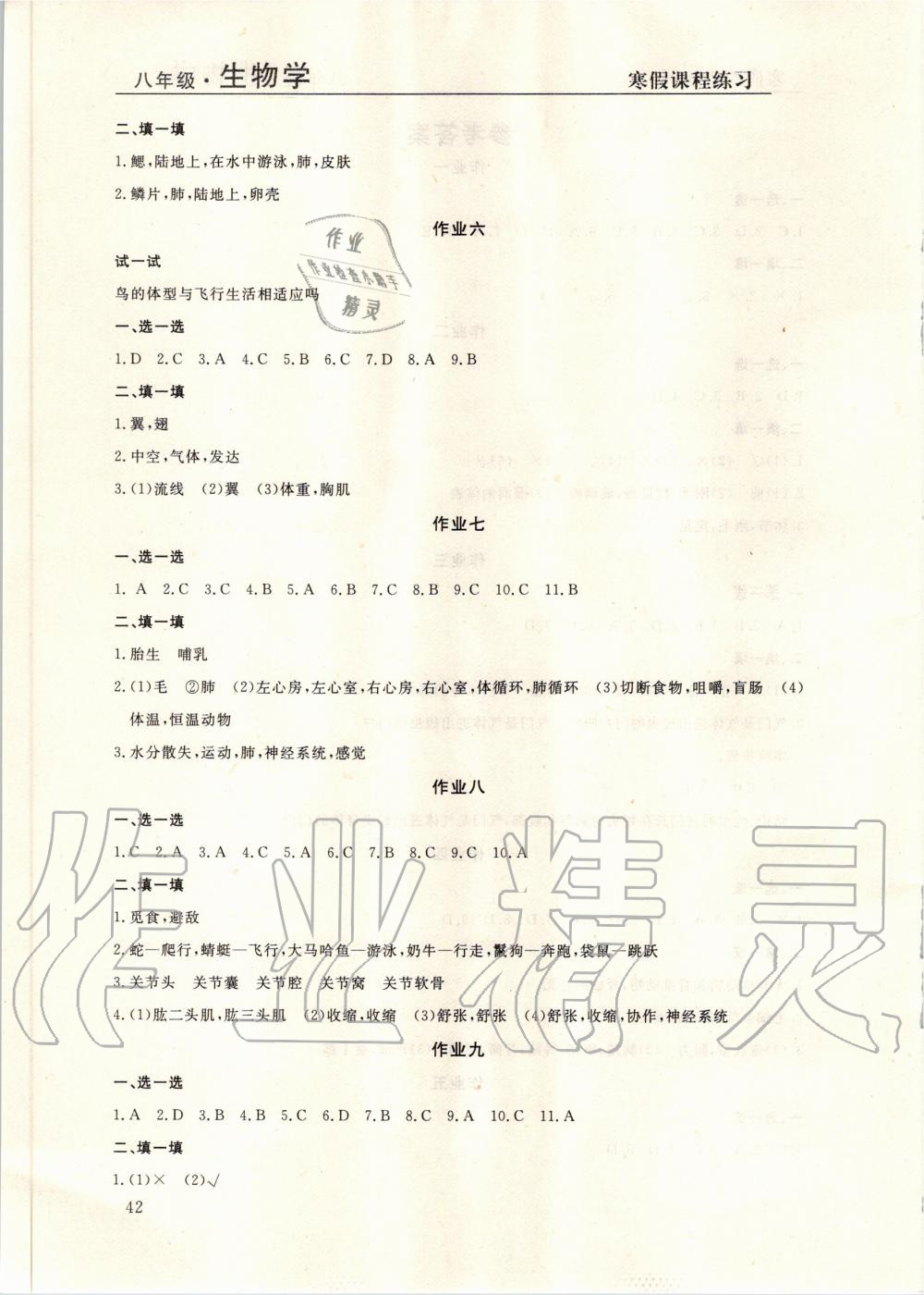 2020年寒假課程練習(xí)八年級(jí)生物學(xué)南方出版社 第2頁(yè)