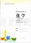 2020年寒假課程練習(xí)九年級化學(xué)南方出版社