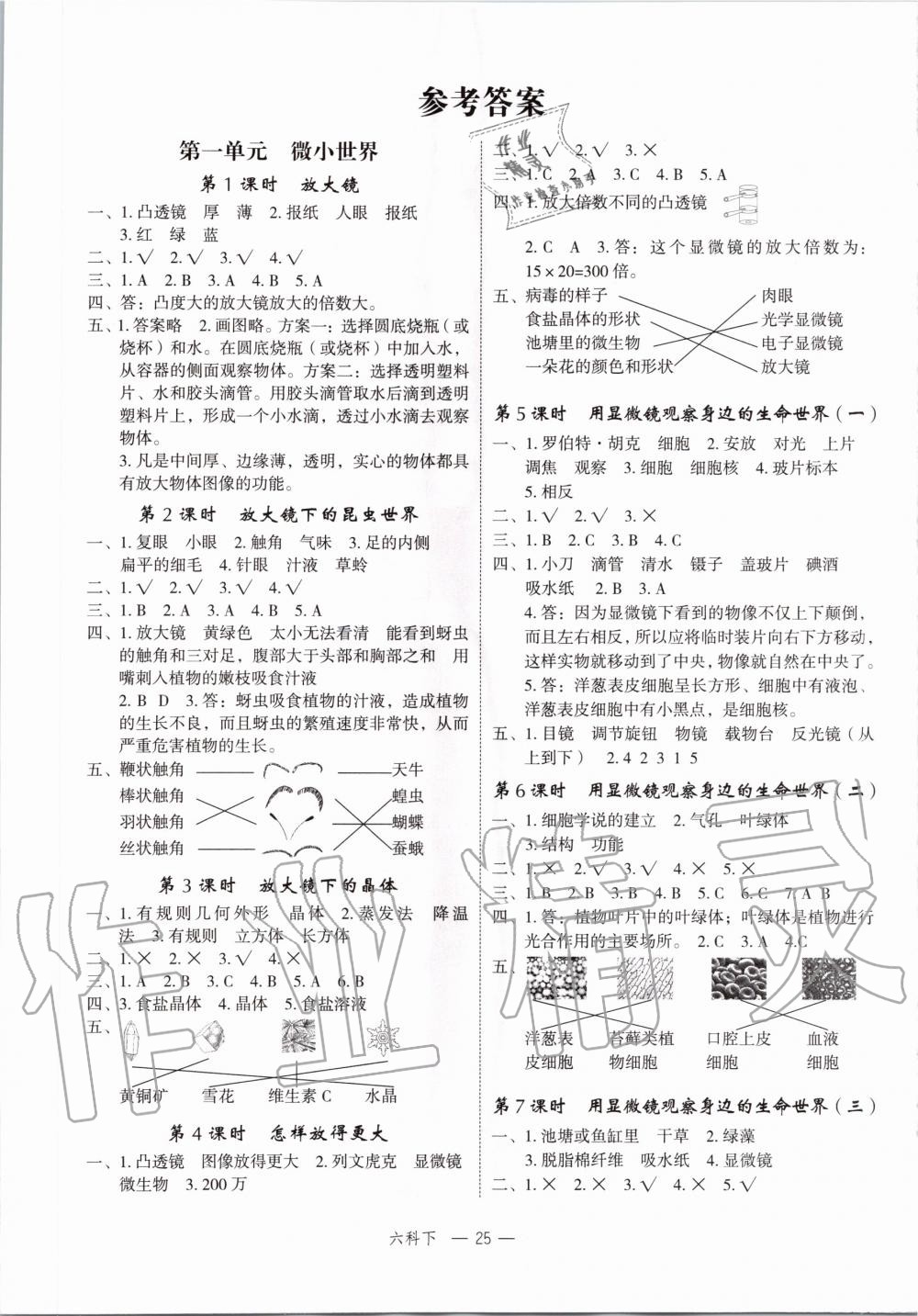 2020年名師面對面先學后練六年級科學下冊教科版 第1頁